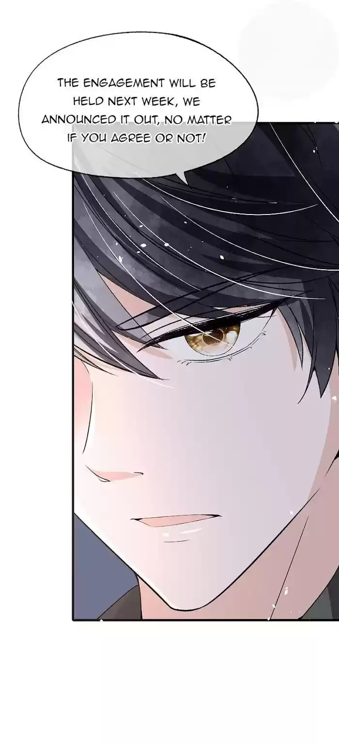 Don't Provoke The Contract Wife Chapter 145