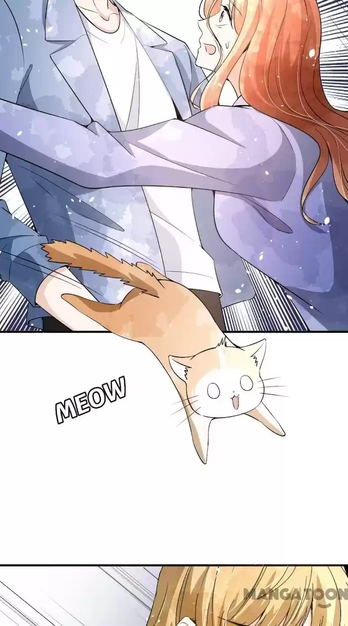 Don't Provoke The Contract Wife Chapter 154