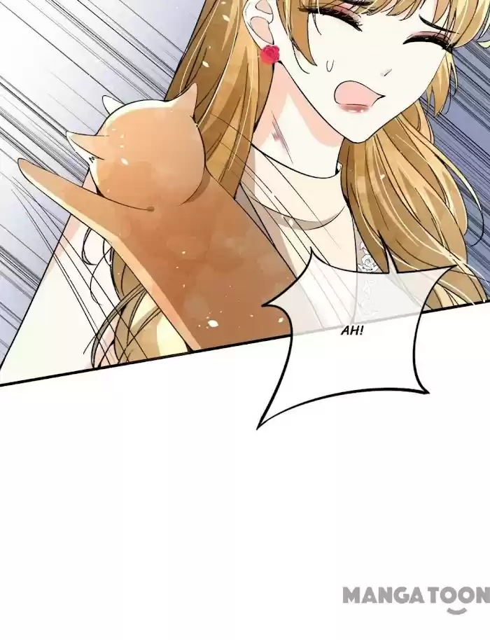 Don't Provoke The Contract Wife Chapter 154