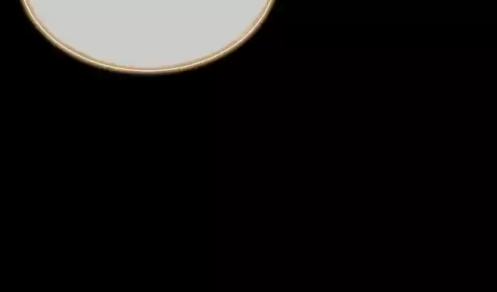 Don't Provoke The Contract Wife Chapter 155