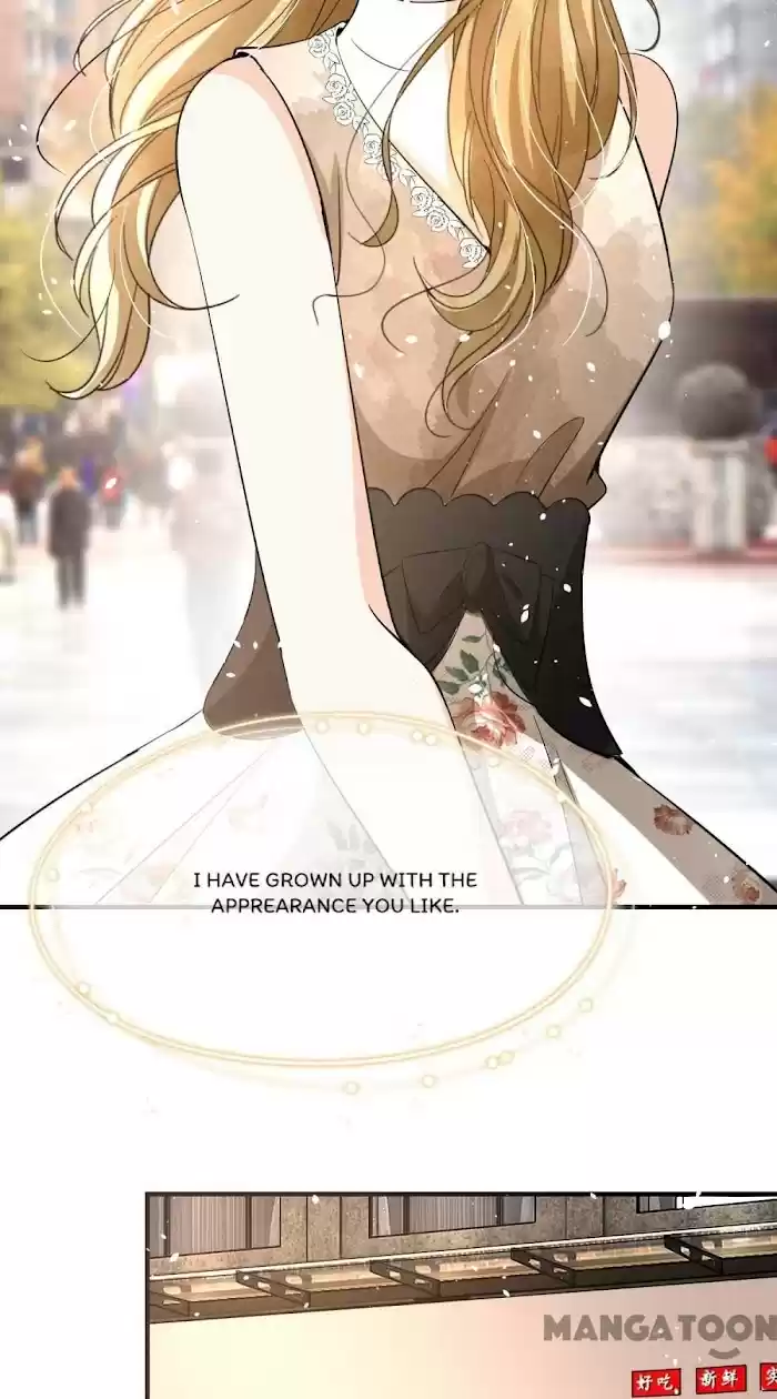 Don't Provoke The Contract Wife Chapter 155