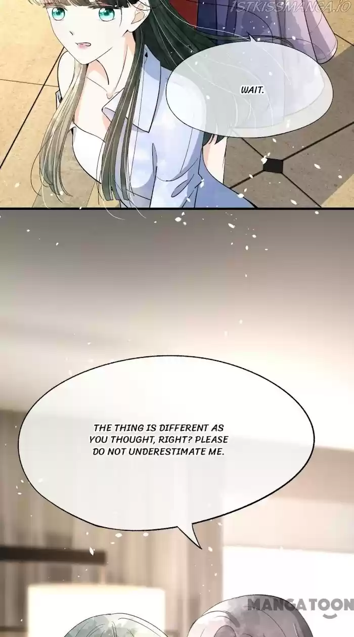 Don't Provoke The Contract Wife Chapter 162