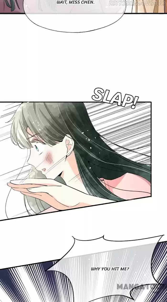 Don't Provoke The Contract Wife Chapter 164