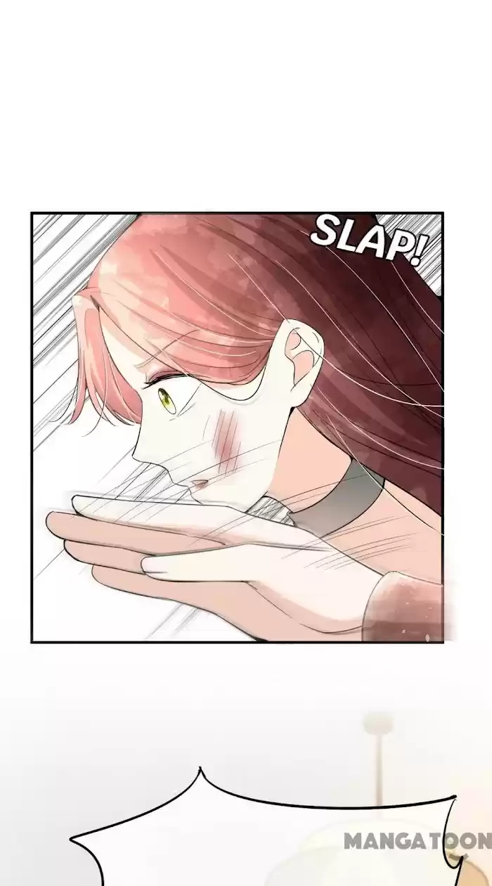 Don't Provoke The Contract Wife Chapter 167