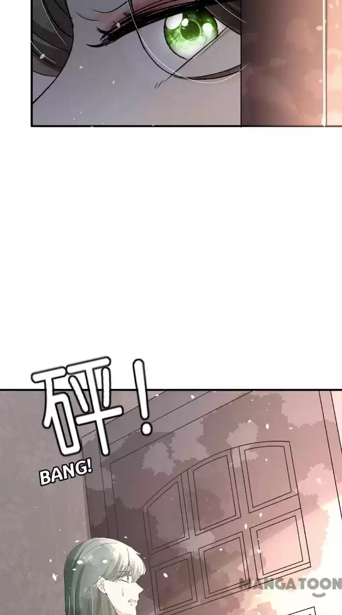 Don't Provoke The Contract Wife Chapter 171