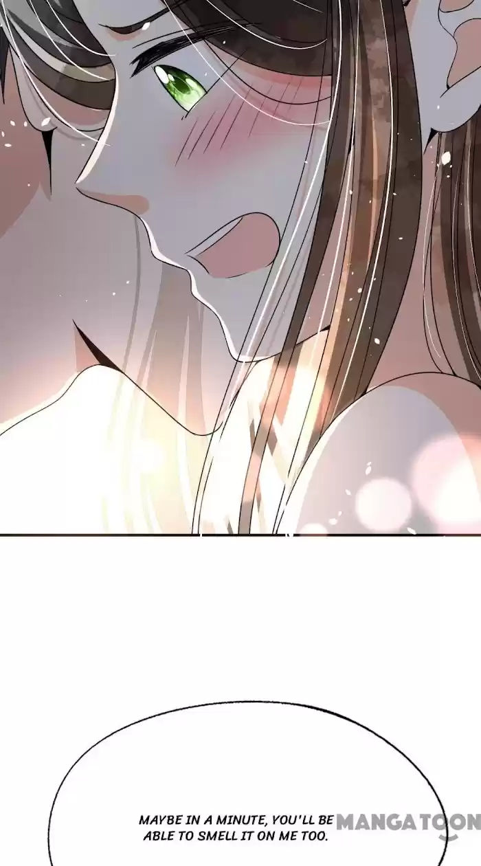 Don't Provoke The Contract Wife Chapter 172