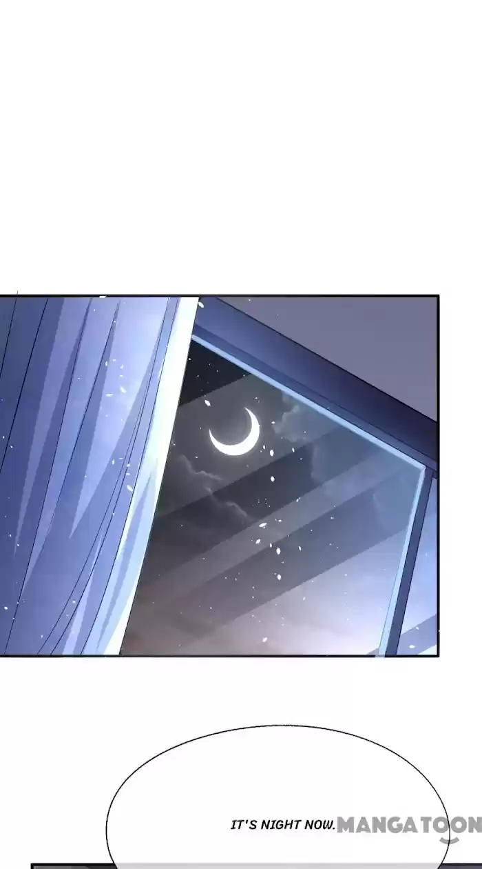 Don't Provoke The Contract Wife Chapter 172