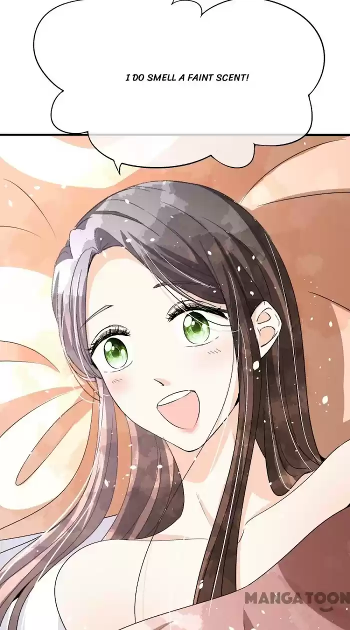 Don't Provoke The Contract Wife Chapter 172