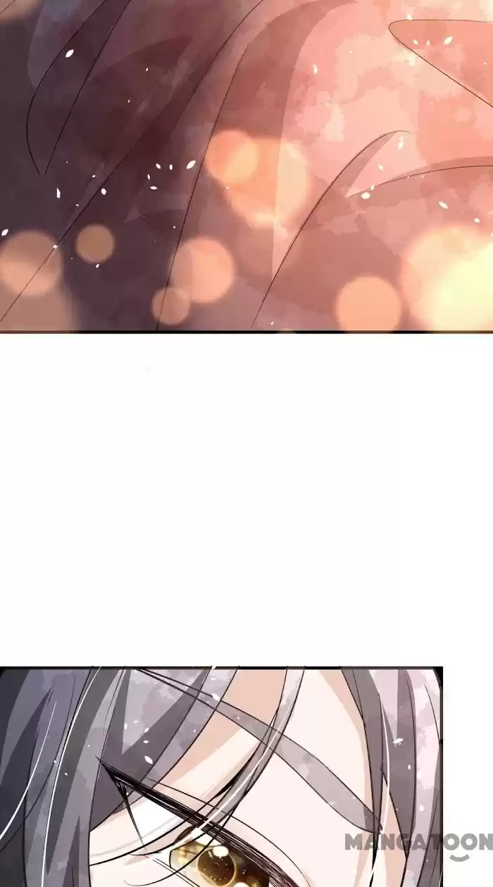 Don't Provoke The Contract Wife Chapter 173