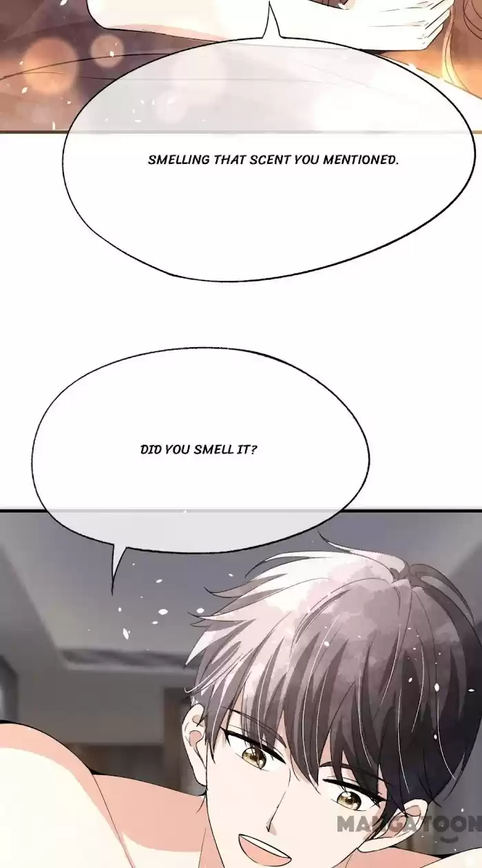 Don't Provoke The Contract Wife Chapter 173