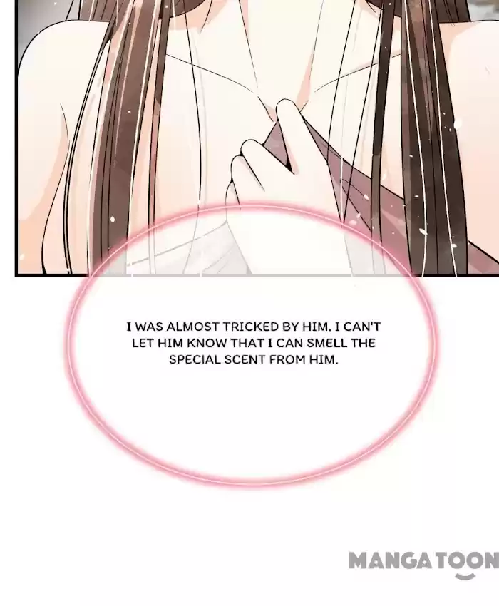 Don't Provoke The Contract Wife Chapter 173