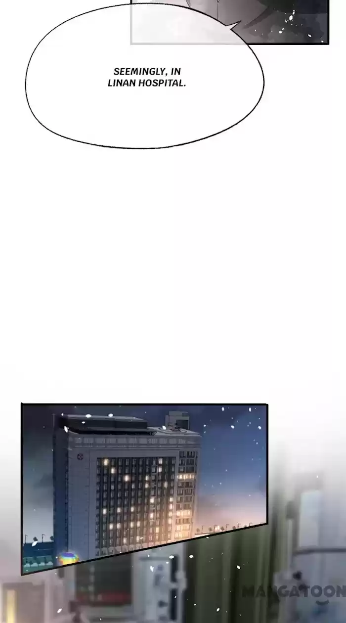 Don't Provoke The Contract Wife Chapter 176