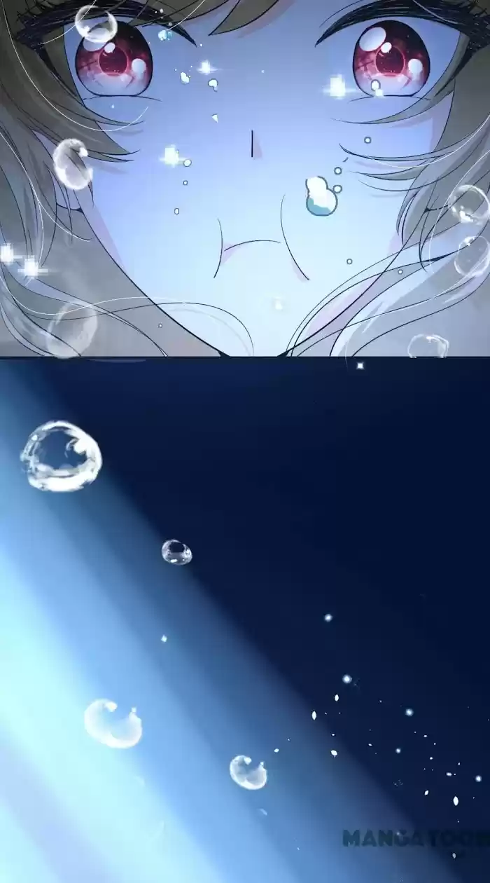 Don't Provoke The Contract Wife Chapter 176