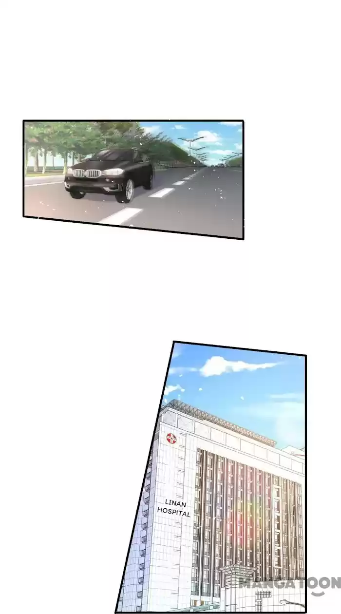 Don't Provoke The Contract Wife Chapter 179