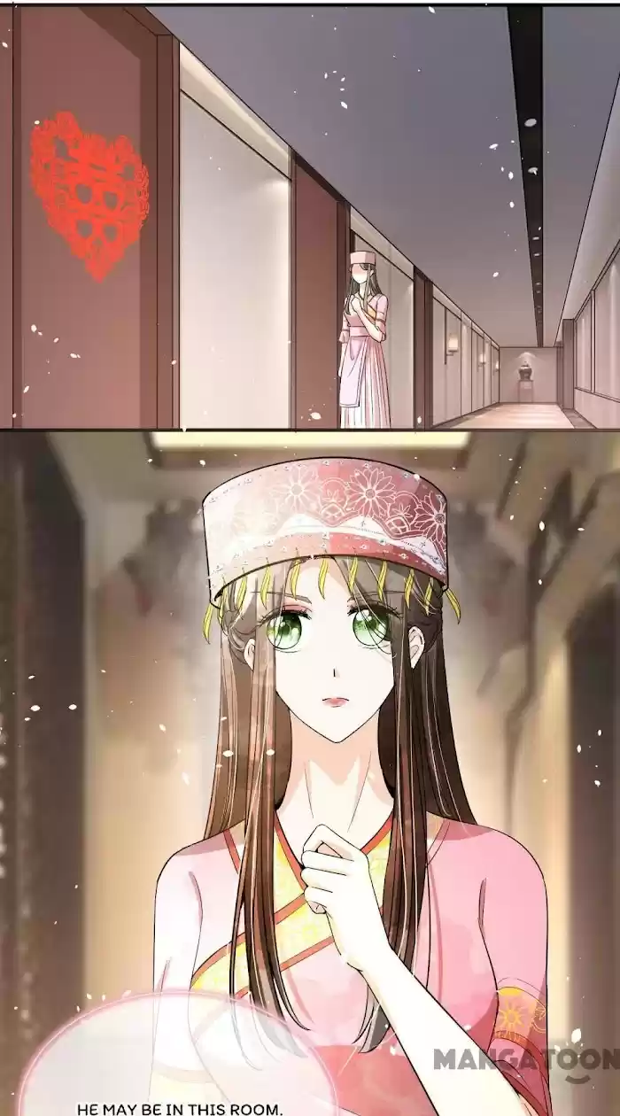 Don't Provoke The Contract Wife Chapter 185