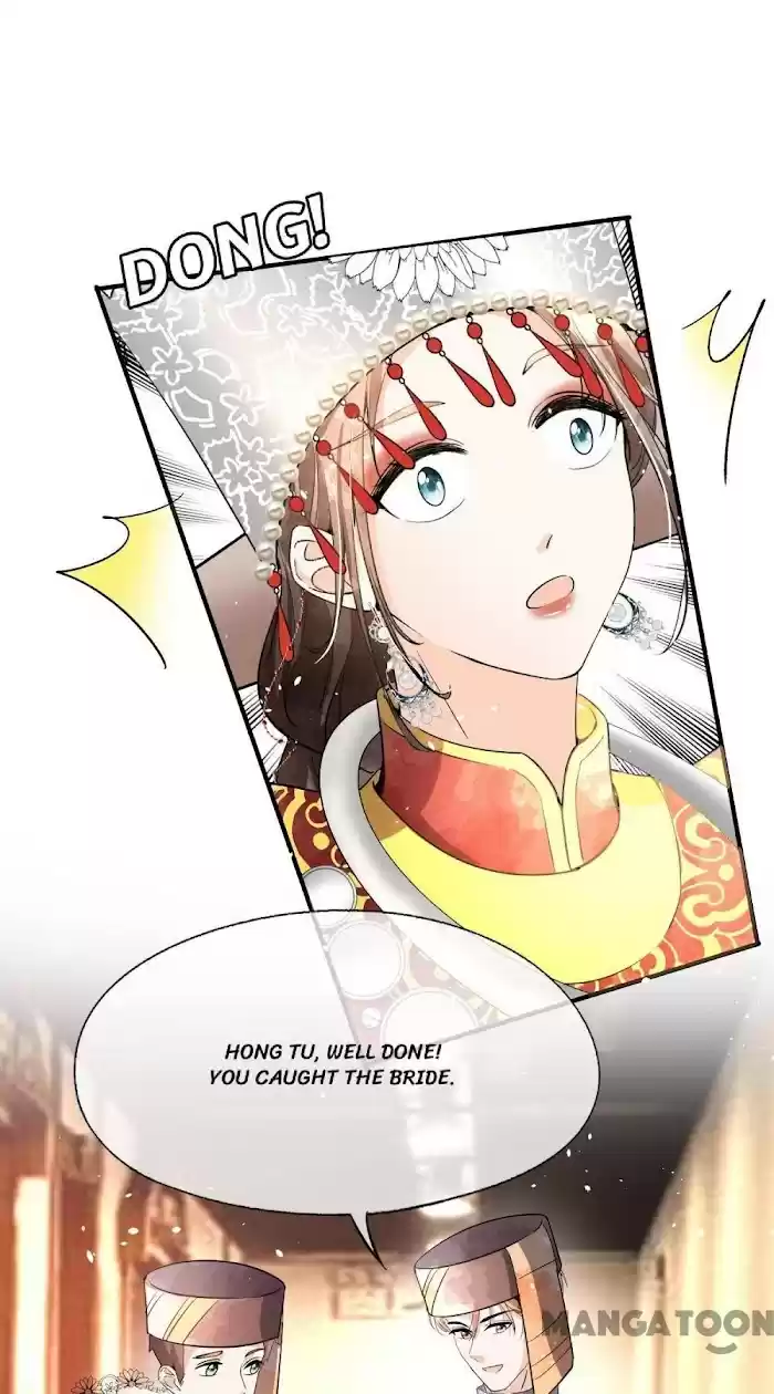 Don't Provoke The Contract Wife Chapter 186