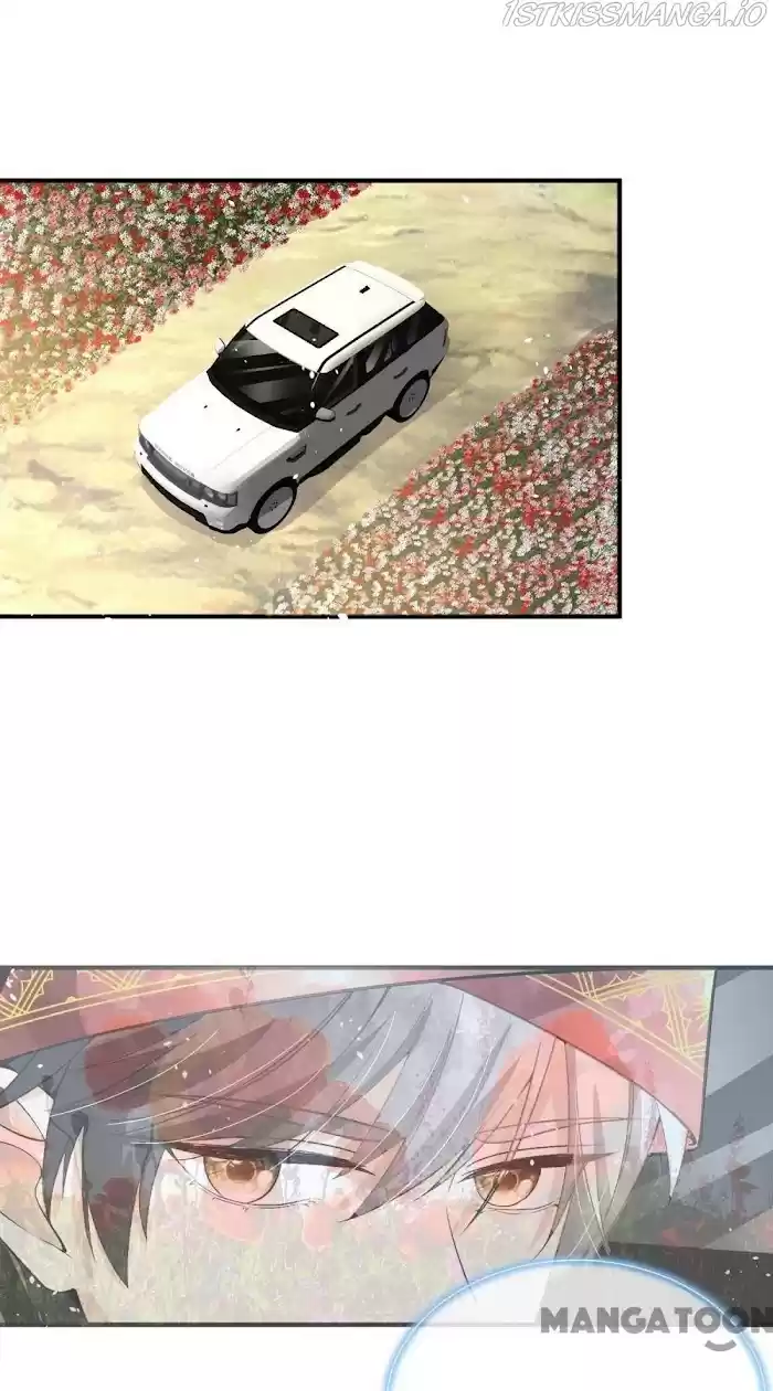 Don't Provoke The Contract Wife Chapter 190