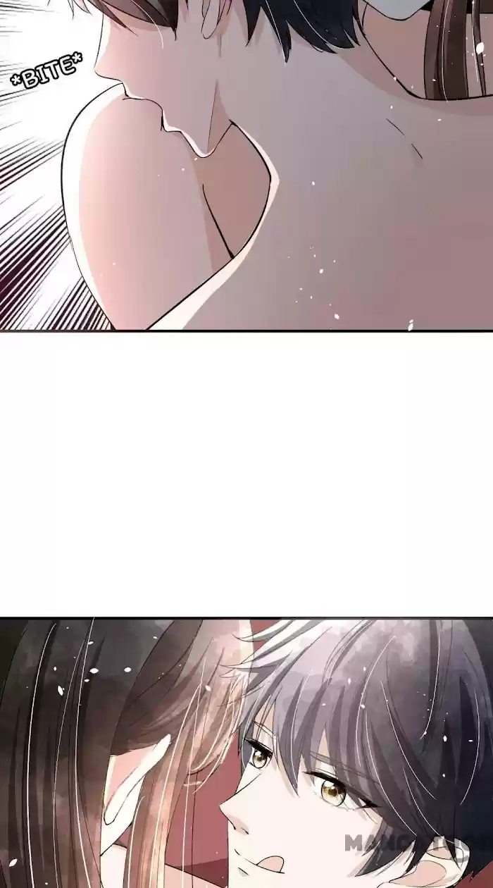 Don't Provoke The Contract Wife Chapter 192