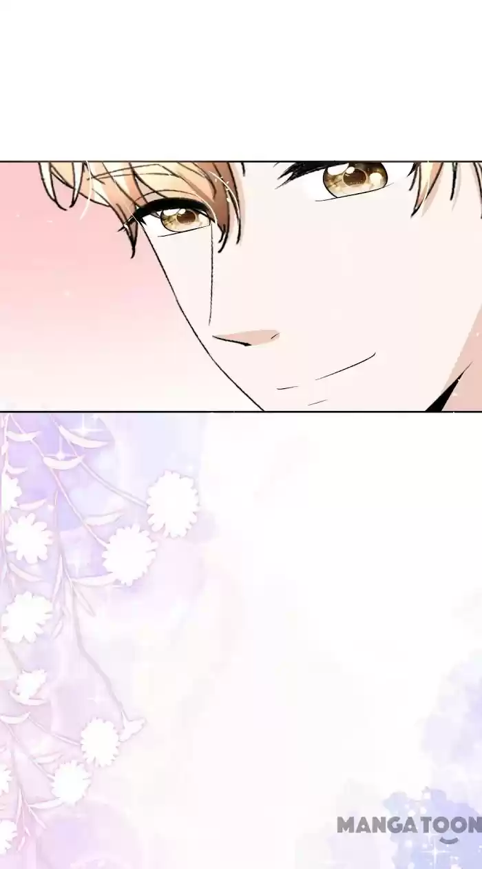 Don't Provoke The Contract Wife Chapter 204