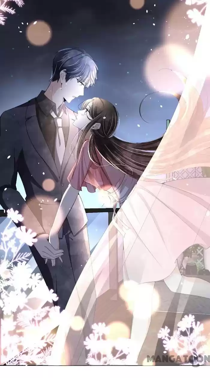 Don't Provoke The Contract Wife Chapter 204