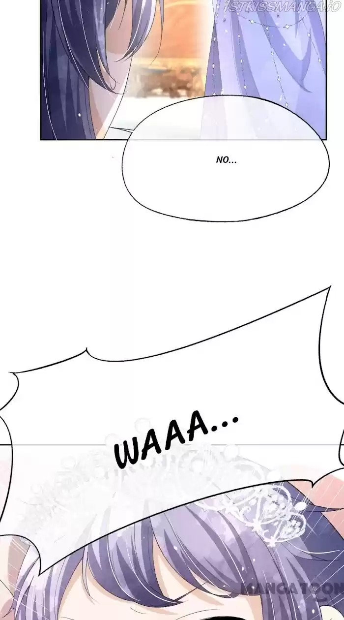 Don't Provoke The Contract Wife Chapter 207