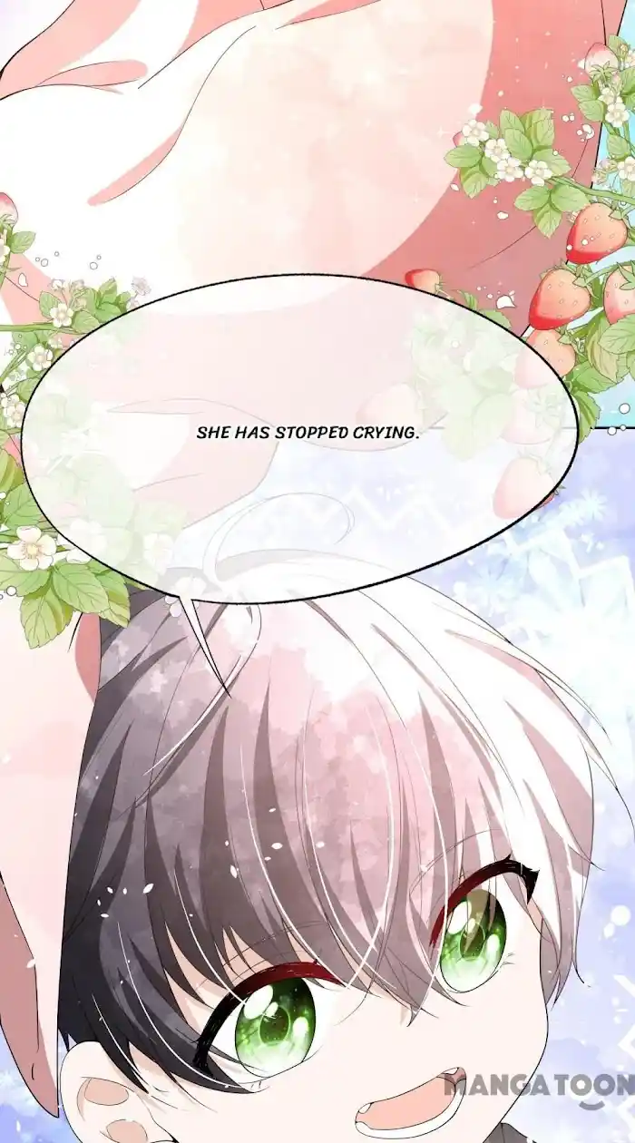 Don't Provoke The Contract Wife Chapter 208