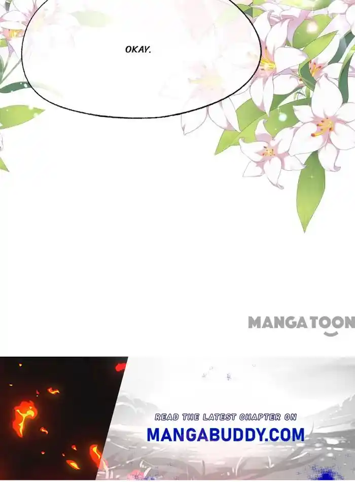 Don't Provoke The Contract Wife Chapter 212