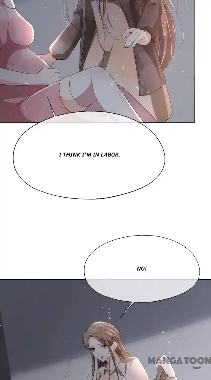 Don't Provoke The Contract Wife Chapter 217