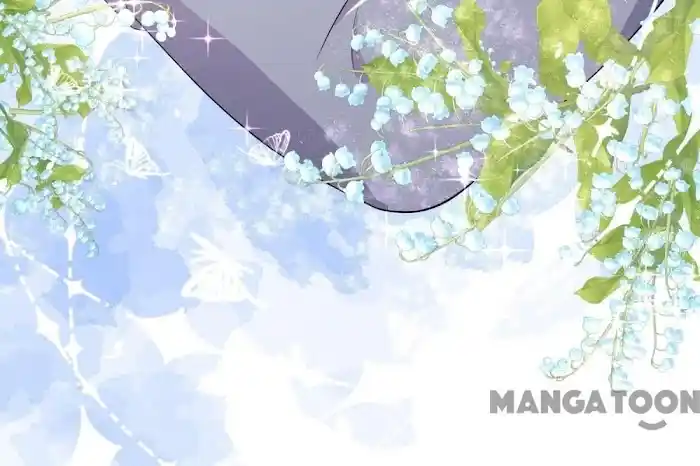 Don't Provoke The Contract Wife Chapter 227