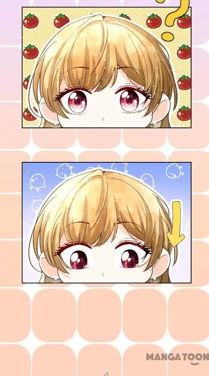 Don't Provoke The Contract Wife Chapter 228