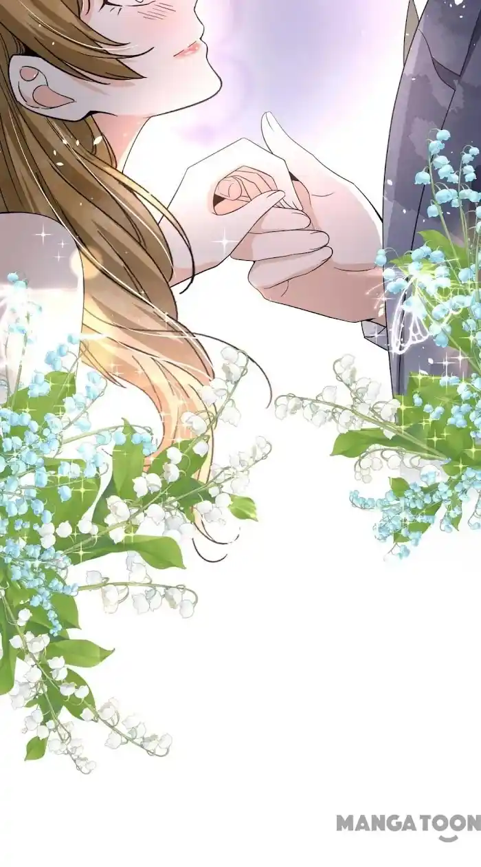 Don't Provoke The Contract Wife Chapter 232