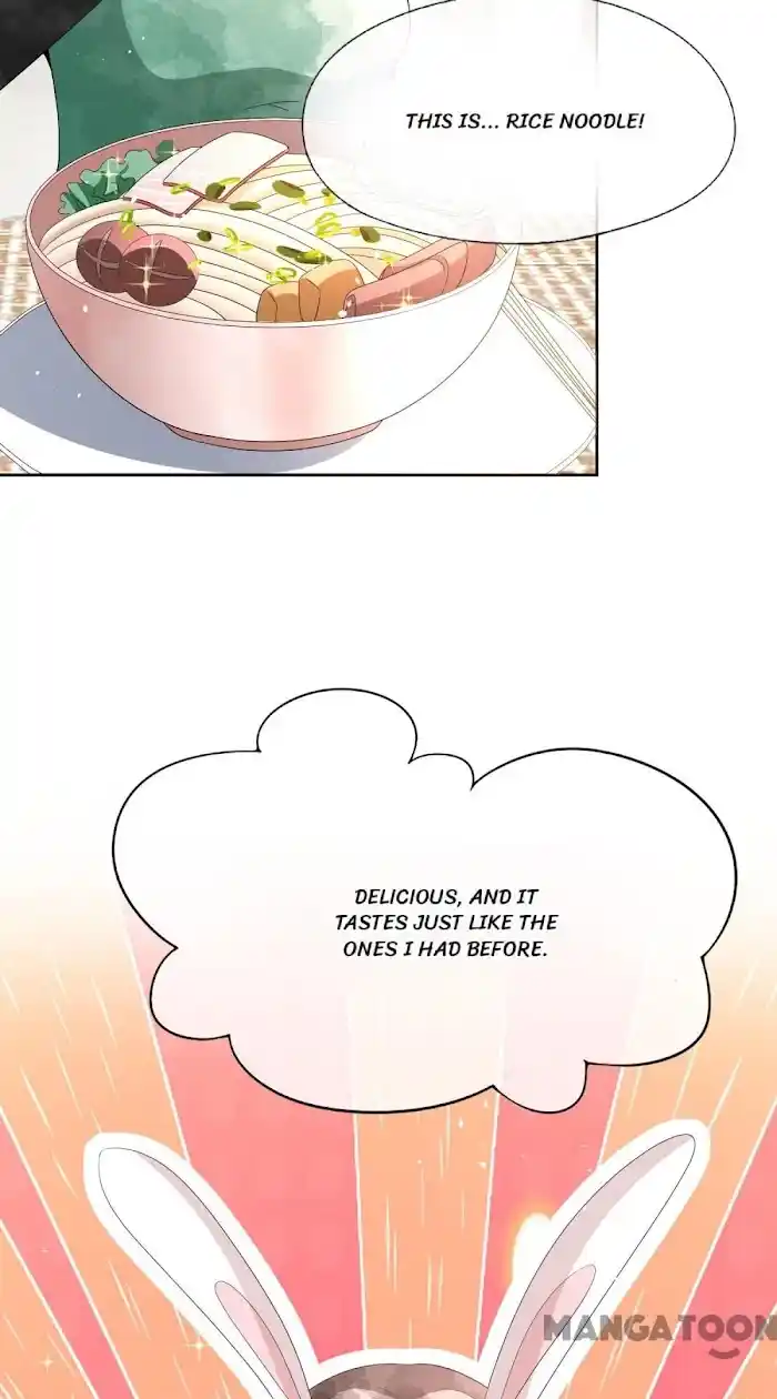 Don't Provoke The Contract Wife Chapter 236