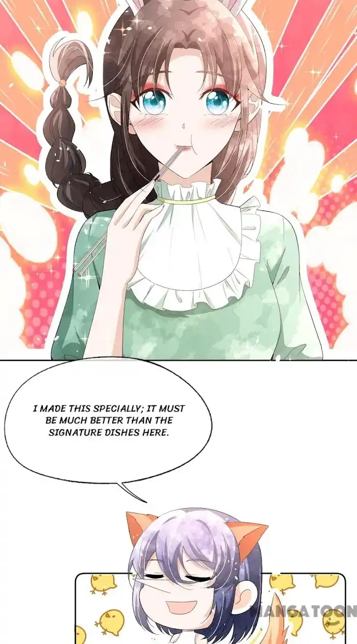 Don't Provoke The Contract Wife Chapter 236