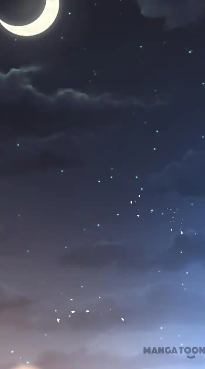 Don't Provoke The Contract Wife Chapter 236