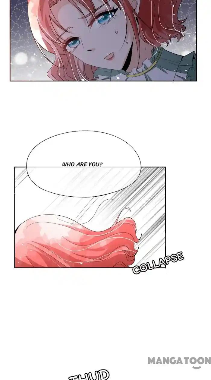 Don't Provoke The Contract Wife Chapter 238