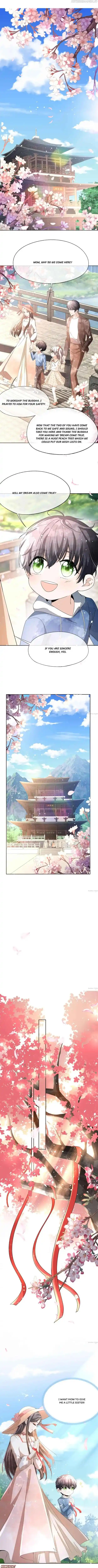 Don't Provoke The Contract Wife Chapter 247