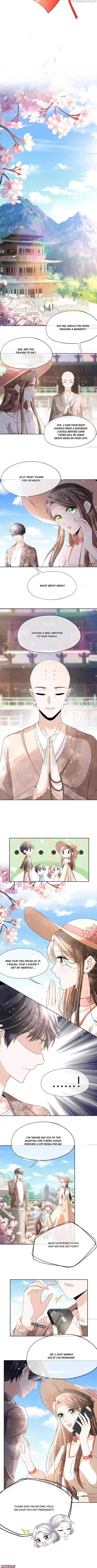 Don't Provoke The Contract Wife Chapter 247