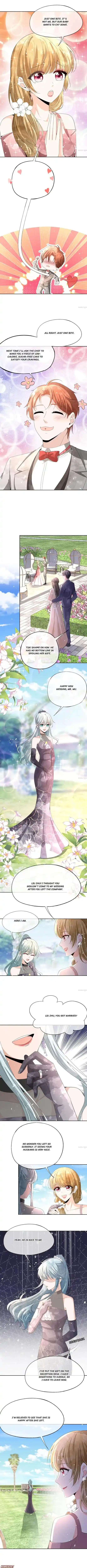 Don't Provoke The Contract Wife Chapter 255