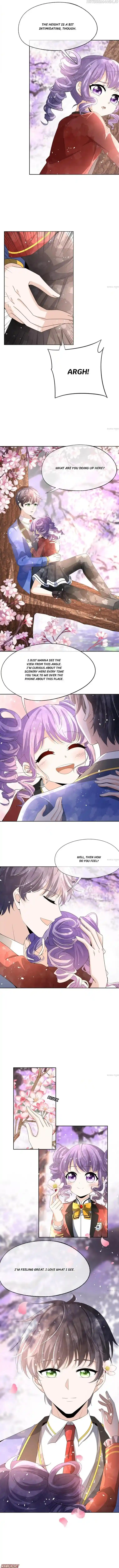 Don't Provoke The Contract Wife Chapter 262