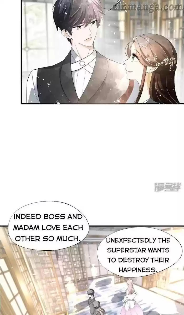 Don't Provoke The Contract Wife Chapter 65.5