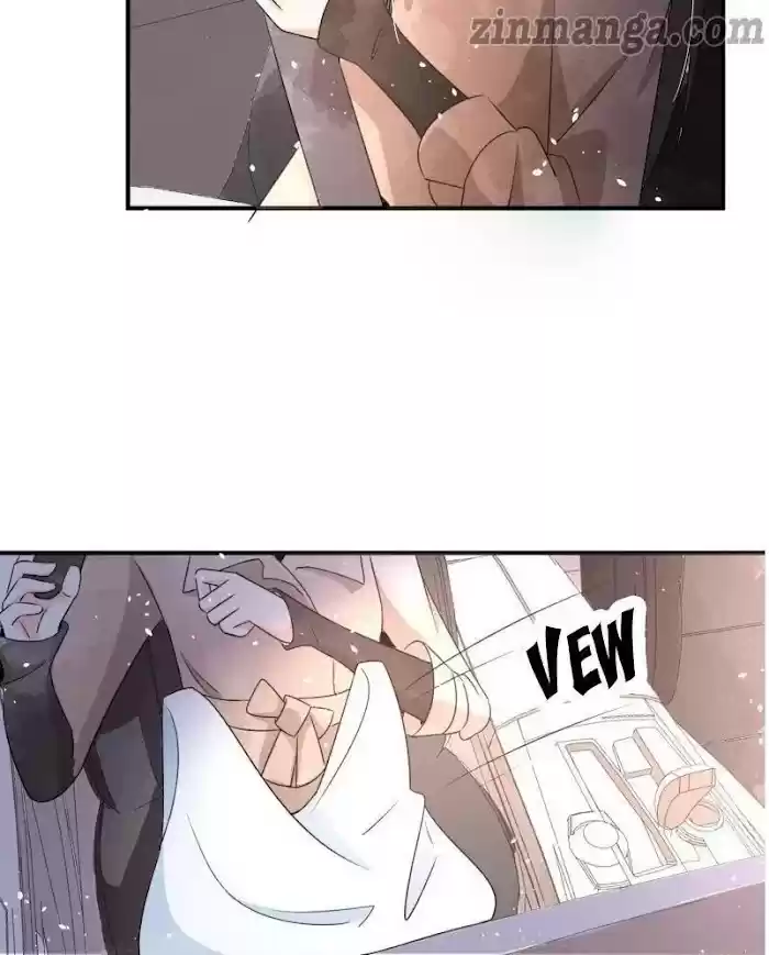 Don't Provoke The Contract Wife Chapter 65.5