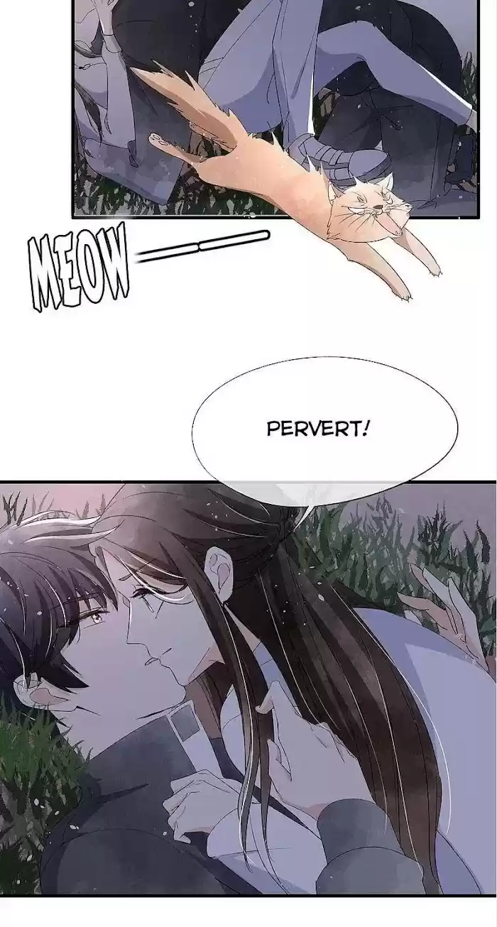 Don't Provoke The Contract Wife Chapter 80