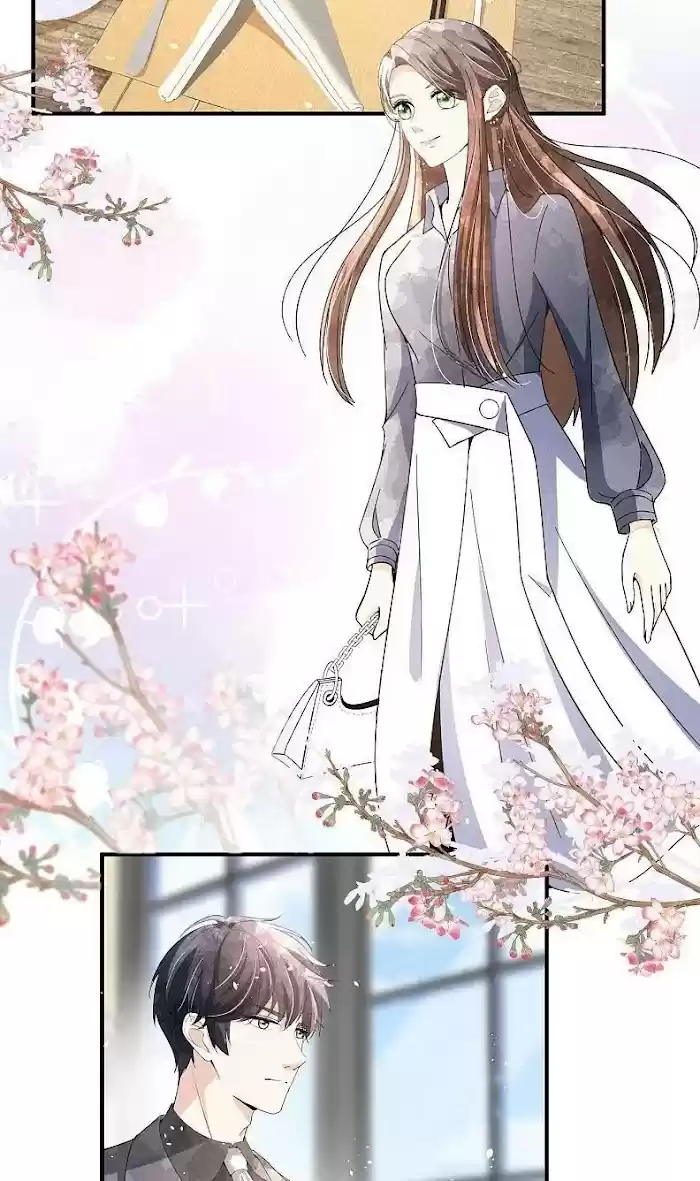 Don't Provoke The Contract Wife Chapter 86