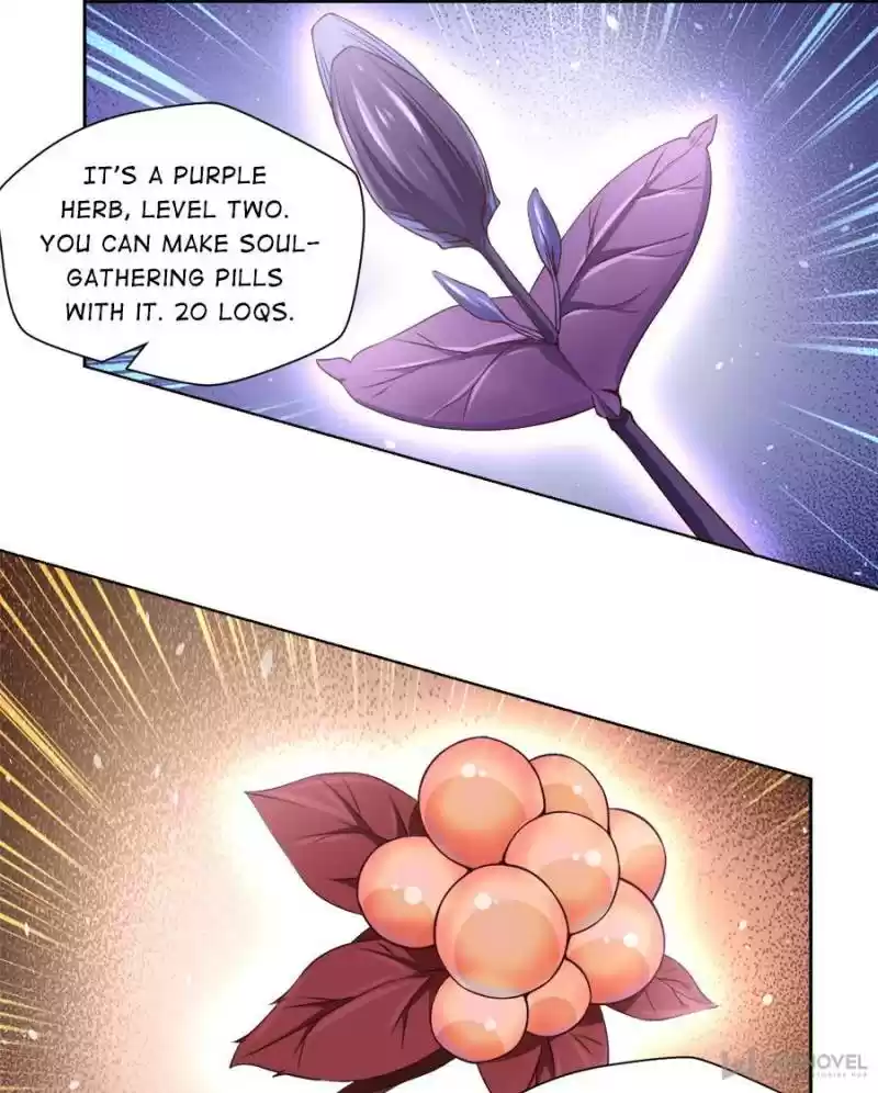 Doomed To Be A King Chapter 4