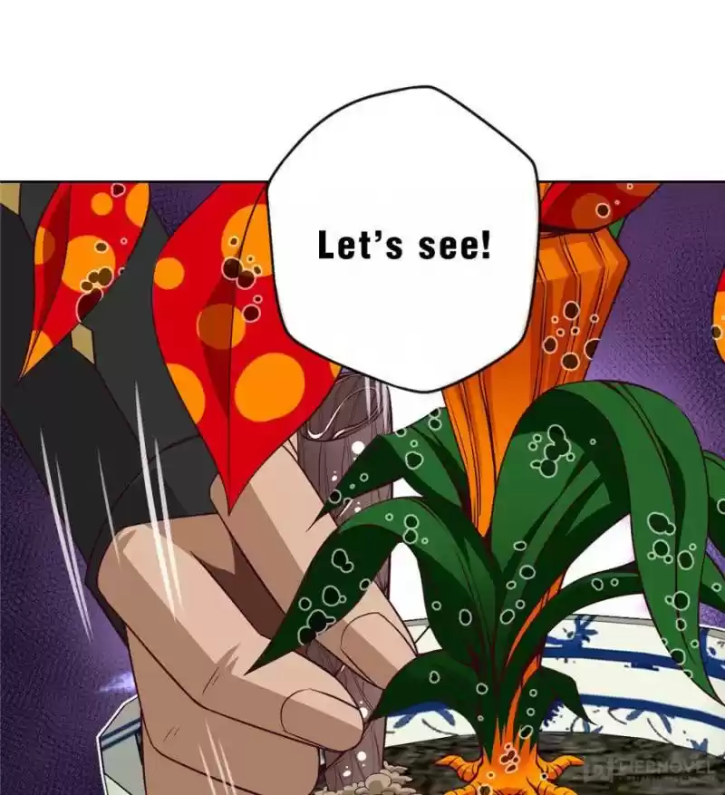 Doomed To Be A King Chapter 41