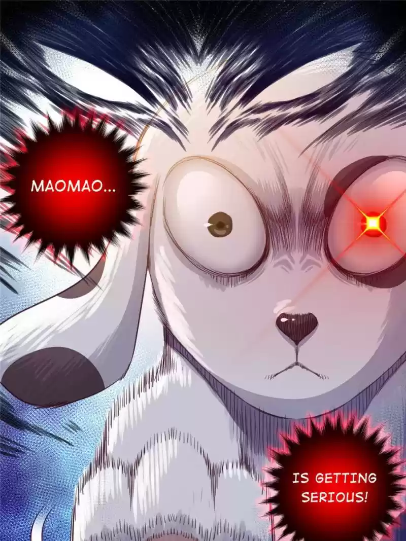 Doomed To Be A King Chapter 47