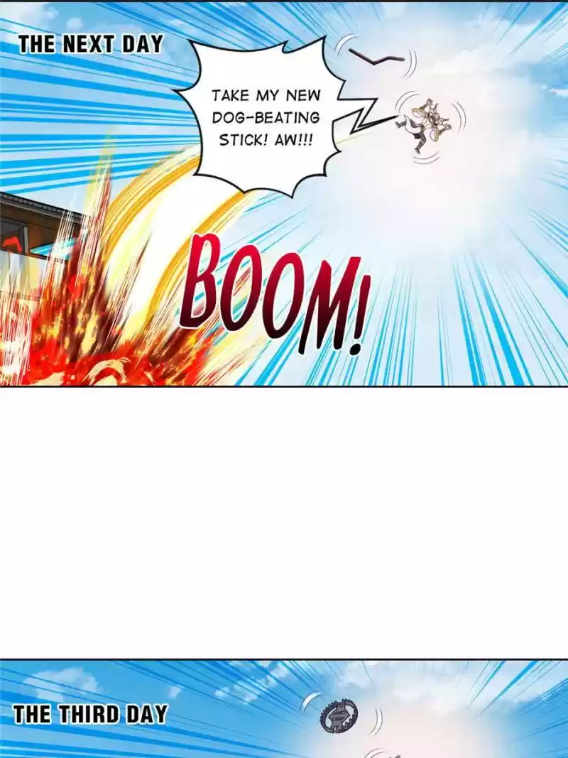 Doomed To Be A King Chapter 48