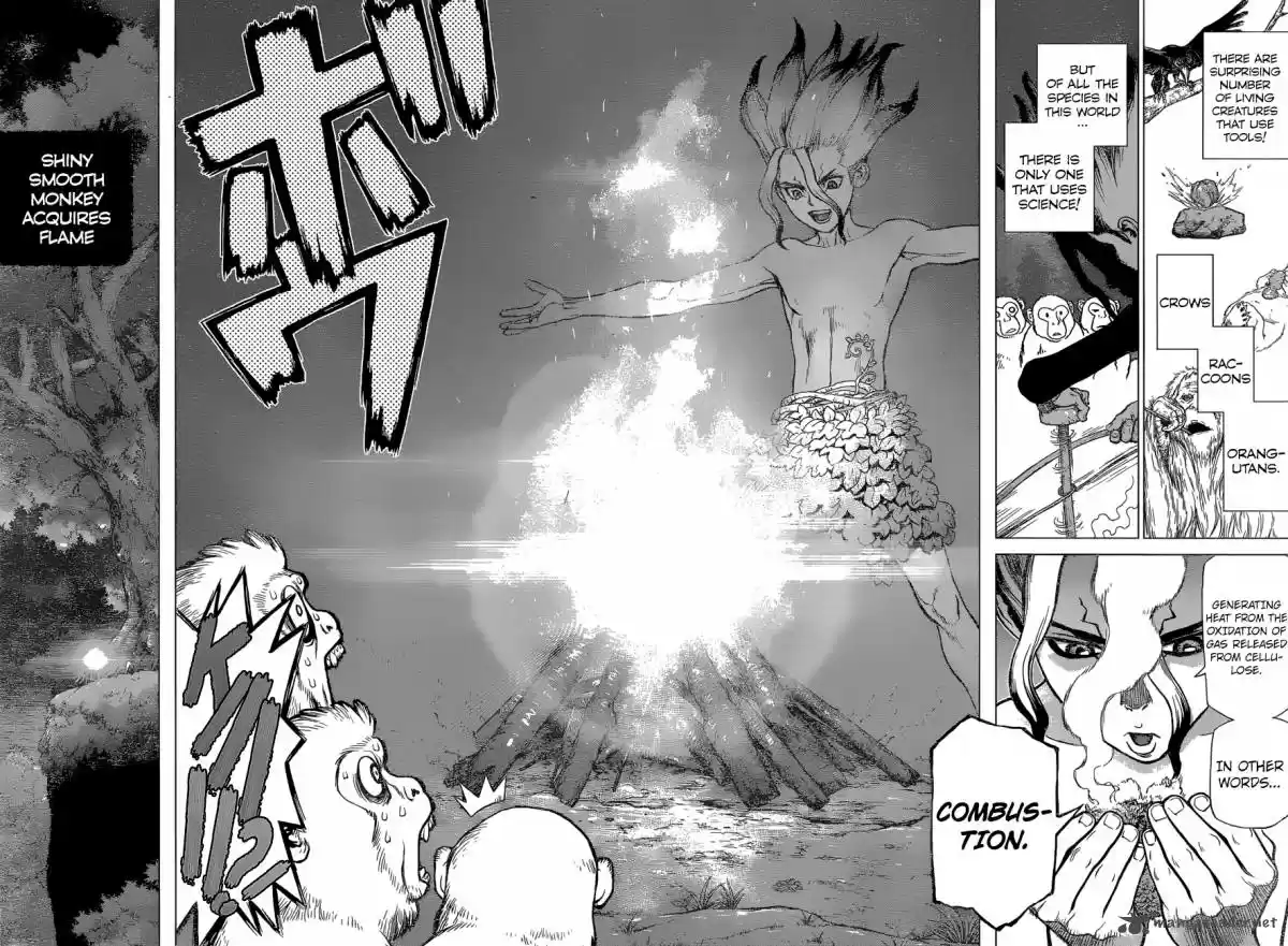 Dr. Stone 13