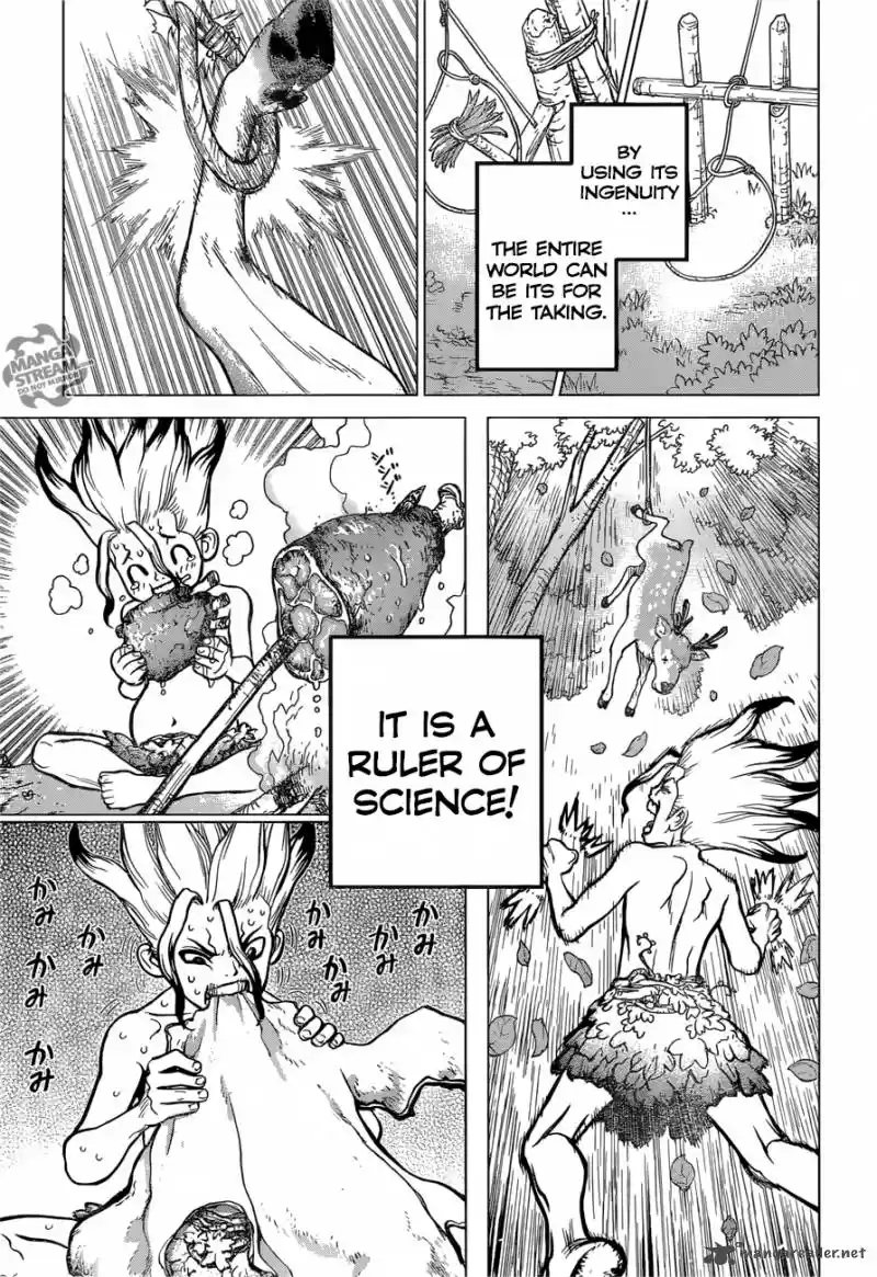 Dr. Stone 13