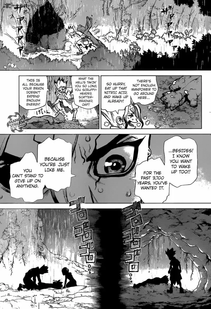 Dr. Stone 14